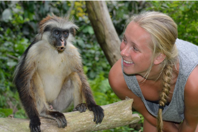 Jozani Forest Main Image