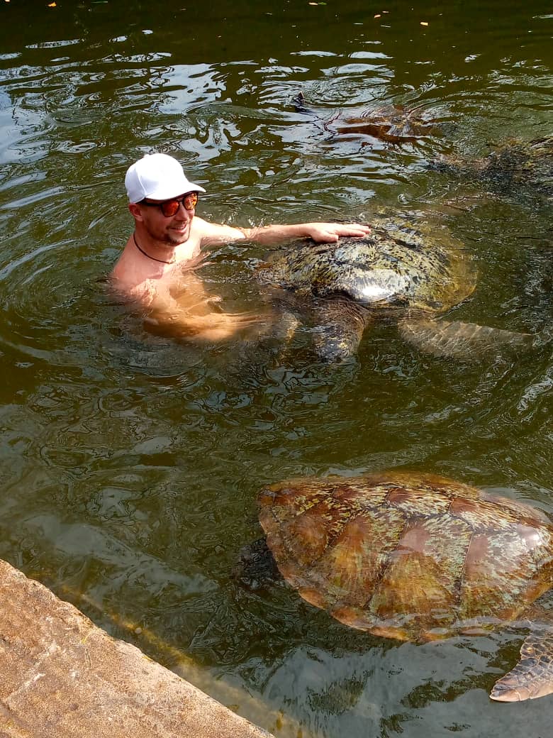Guests swimming in crystal water