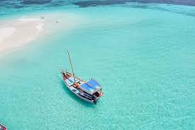 Pungume Island Tour Main Image